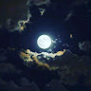 Meet your Posher, Carlos del angel